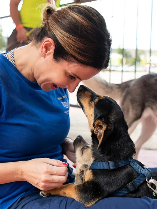 HSUS staff cuddling dogs at Spayathon event