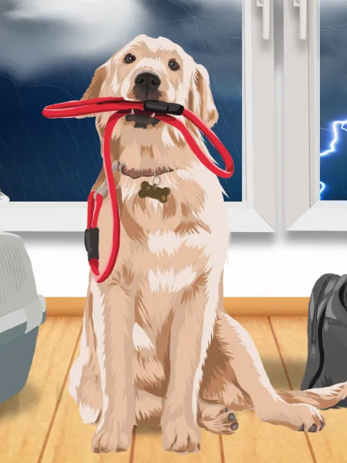 Illustration of a dog with leash in his mouth, cat on a carrier, and luggage in front of a stormy window.