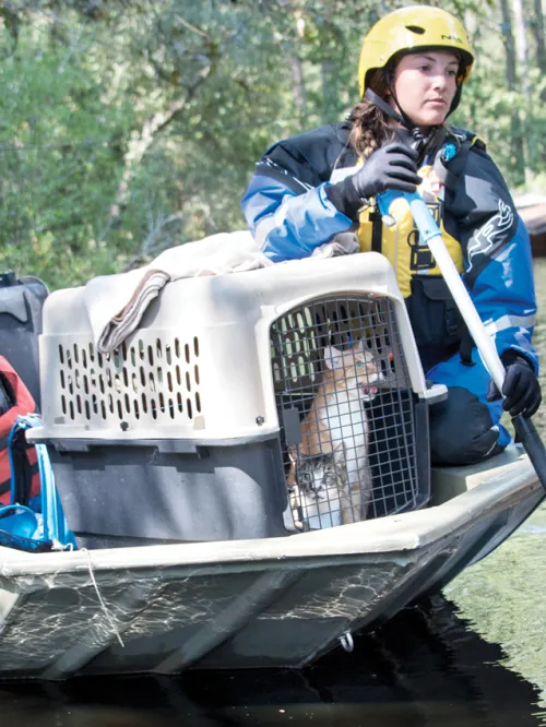 Emergency response team on a boat with rescued cats in a crate.