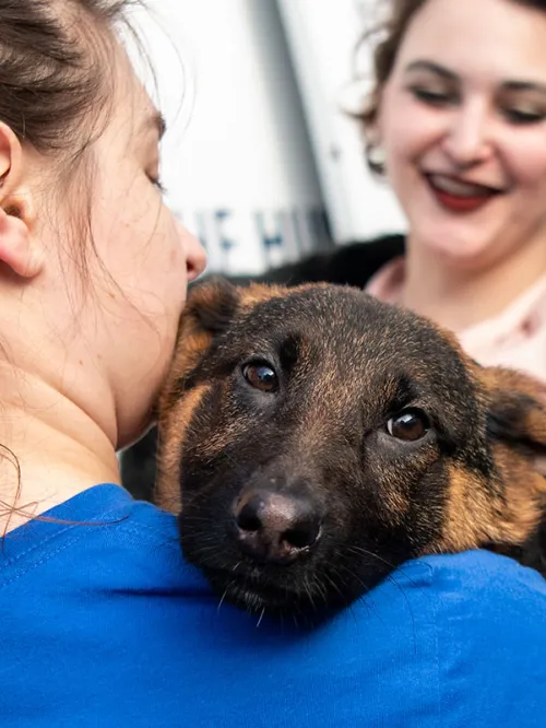 HSUS staff helping with a transport of puppy mill rescue dogs