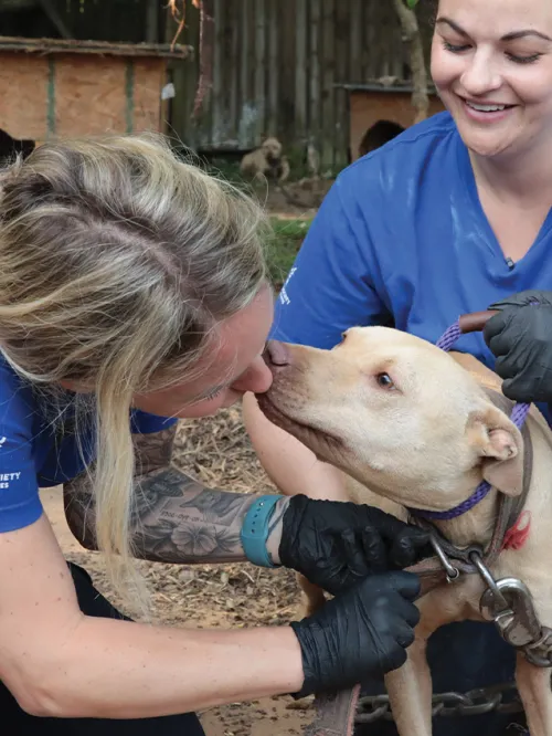 HSUS animal rescue services in action