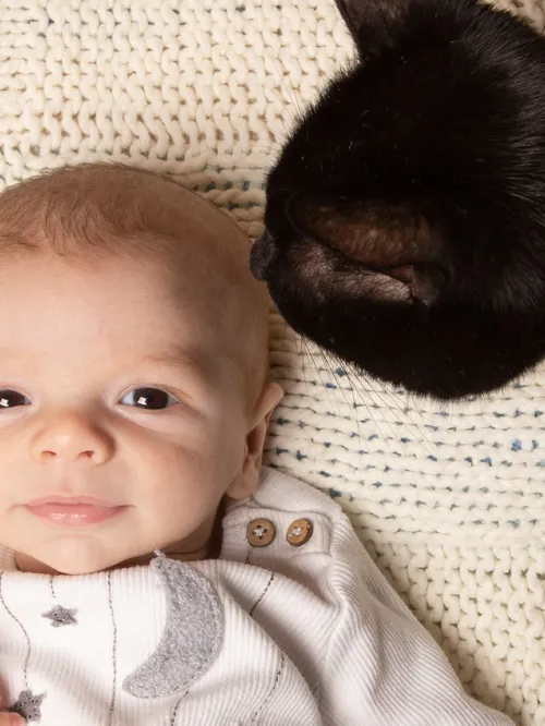 Happy baby laying on a blanket with curious cat sniffing his hair