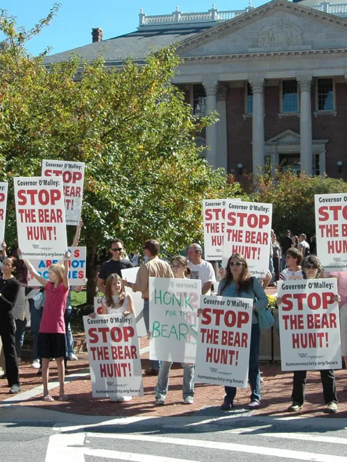 multiple people protesting