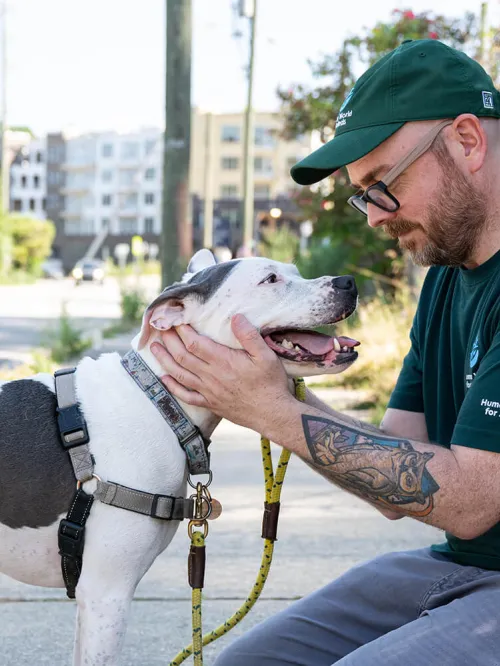 Humane World for Animals staff petting dog