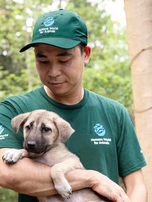 Humane World for Animals staff holding puppy