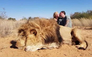A trophy hunting image showing a couple posing with a dead lion, illustrating the cruelty of the practice.