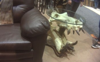 Hippo skull table at the Safari Club International convention