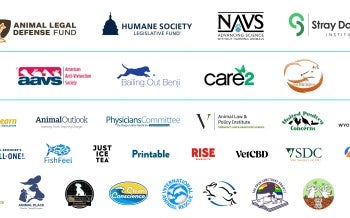 A collage of logos showing the sponsors of Taking Action for Animals 2024