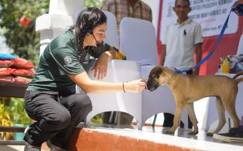 A woman feeds a dog