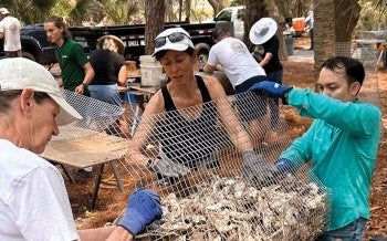 A team of people fill a cage with shells to restore an oyster reef near Kiawah Island.