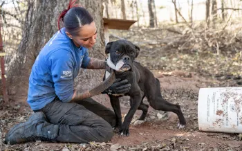 Animal Rescue Team in Oklahoma