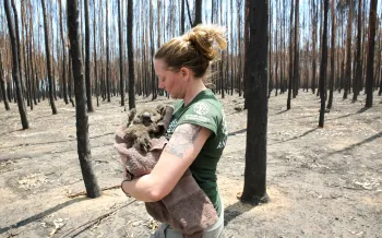 Australia Wildfires Response