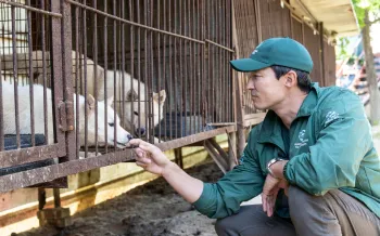 Daniel Henney at a dog meat farm in South Korea