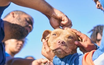 South Africa Healthy Pets Healthy Community Clinic 2025