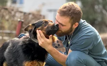 Animal rescued during the flood in 2024.
