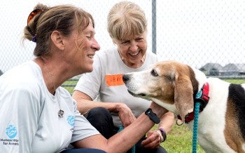Two volunteers at a care center interact with a rescue dog