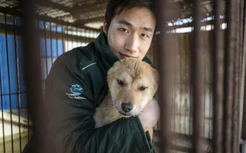 Sangkyung Lee, Campaign Manager of Humane World for Animals Korea, interacts with a dog inside a cage at a dog meat farm.