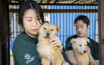two people holding dogs