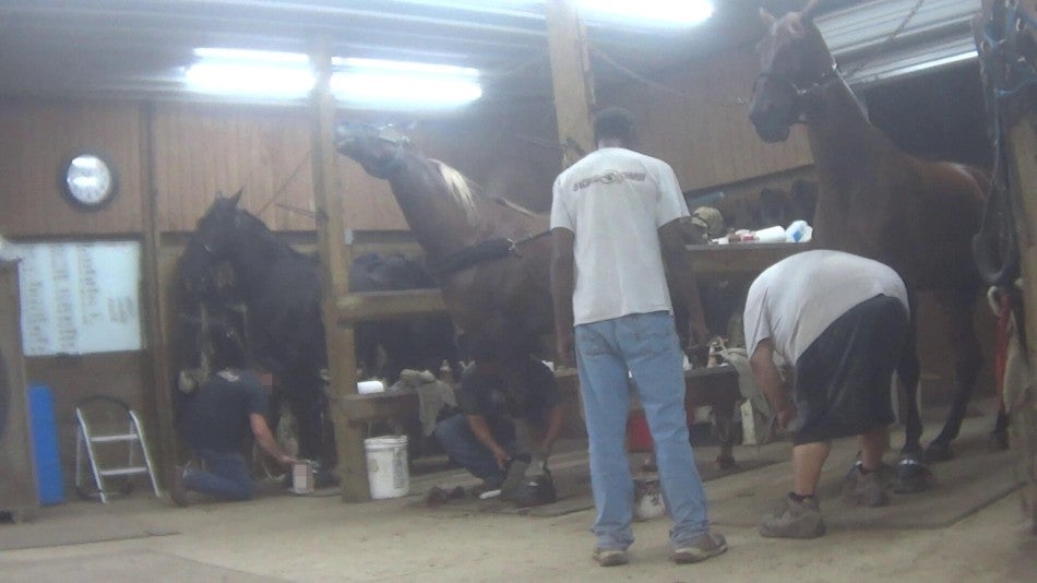 A group of people soring horses