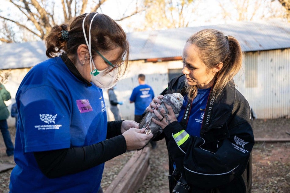 Animal Rescue Team in Oklahoma